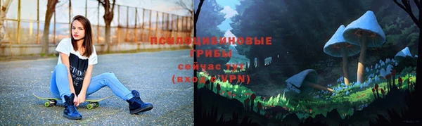 прущие грибы Алексин